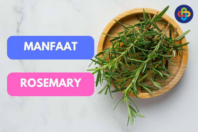 Rosemary: Bumbu Ajaib yang Meningkatkan Rasa dan Nilai Kesehatan pada Tiap Hidangan
